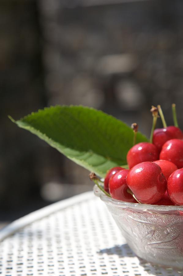 La Casa Dei Nonni Castelbianco Bed & Breakfast Colletta ภายนอก รูปภาพ