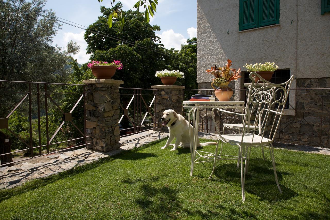 La Casa Dei Nonni Castelbianco Bed & Breakfast Colletta ภายนอก รูปภาพ